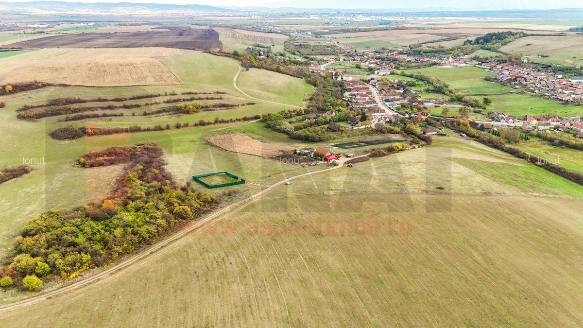 Ocazie: Teren 642mp, Rusciori, deschidere drum, zona frumoasa |SkyView - 5 Ocazie: Teren 642mp, Rusciori, deschidere drum, zona frumoasa |SkyView - 5