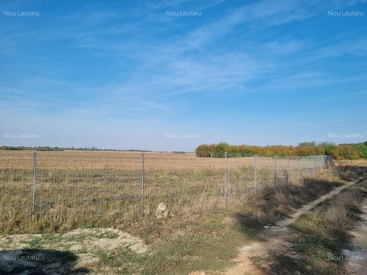 Vanzare Teren  Industrial Pantelimon Cernica 10000mp - 4