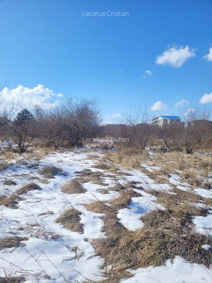 EXCLUSIVITATE! TEREN UNICAT 5831MP ZONA MAMAIA NORD - 4