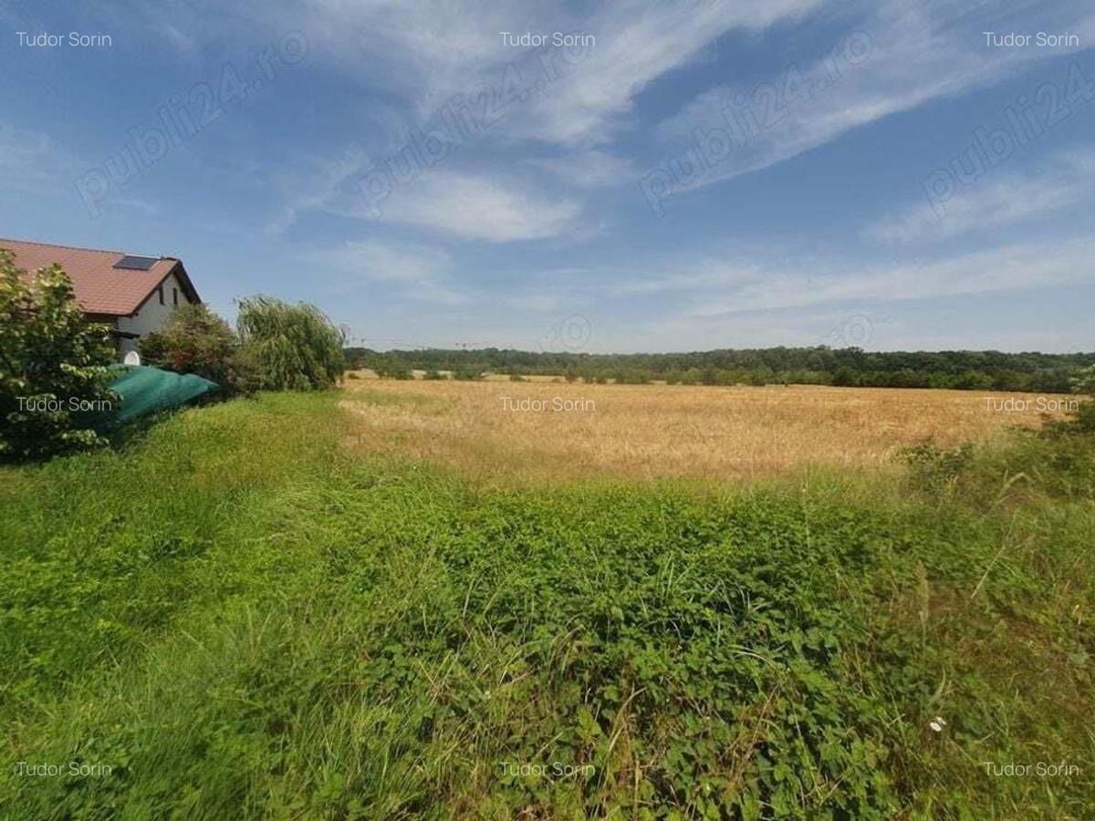 Teren situat in Balotesti,langa padure,acces drum pietruit, 28000 euro - 3