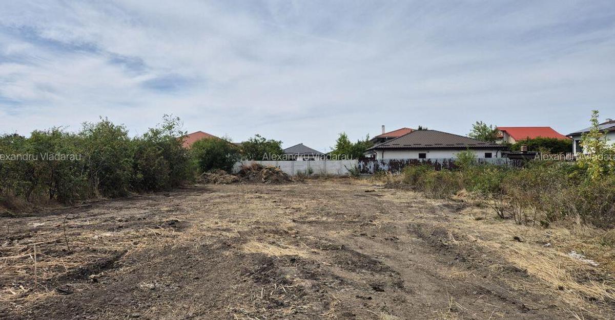 Teren intravilan 1000 mp - Domnesti - 1