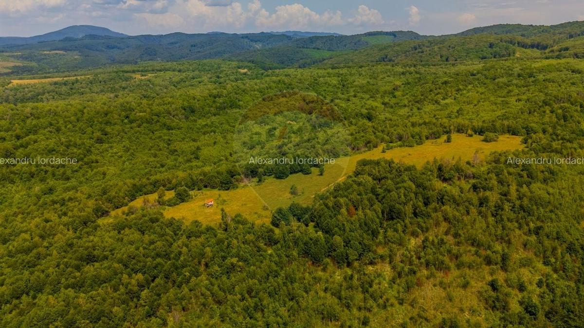 Teren intravilan de 1551 mp, în Grid - 6