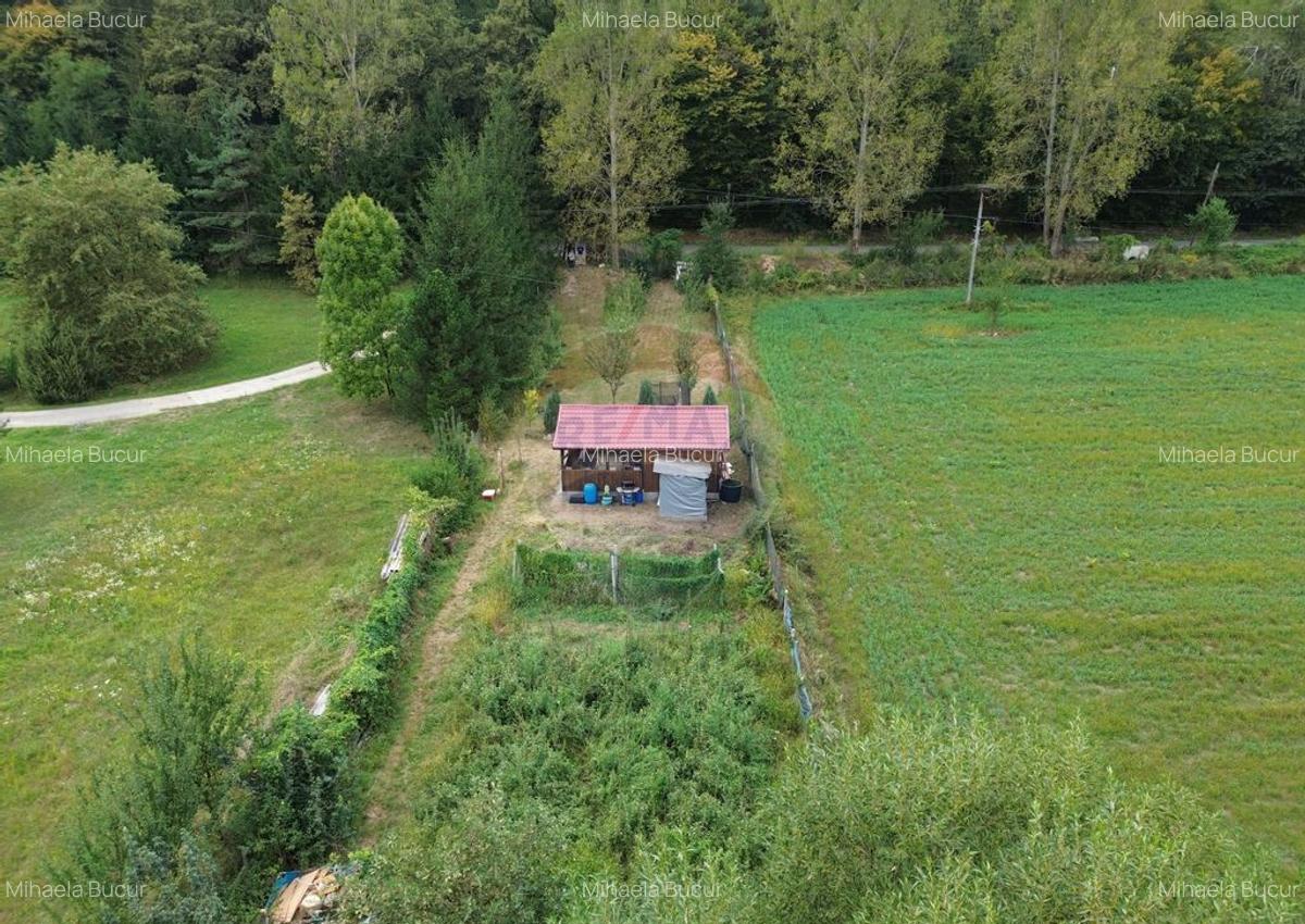Teren Drumul Buzdului cu o cabana mica - 2