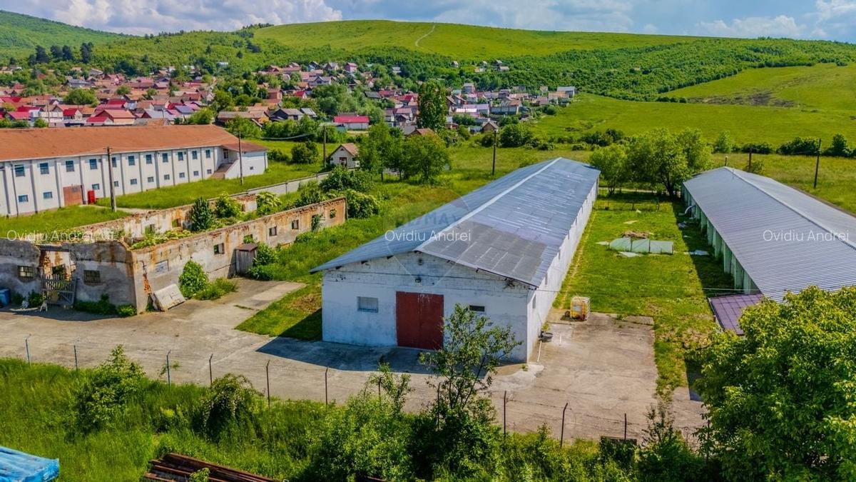 Spatiu industrial de 700mp de inchiriat - 4