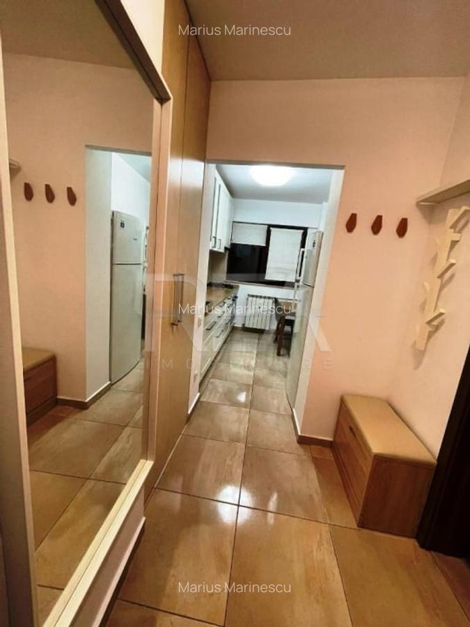 Apartament 2 camere Renovat Tineretului - 3