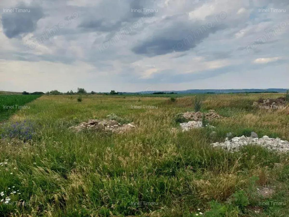 Oportunitate de Investitie!!! - 4