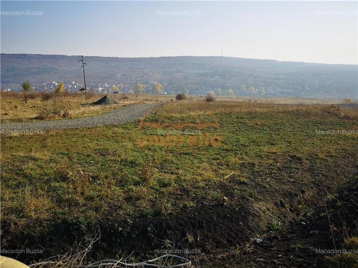 Teren Construcții extravilan de 11600 mp, în Câmpenești - 2