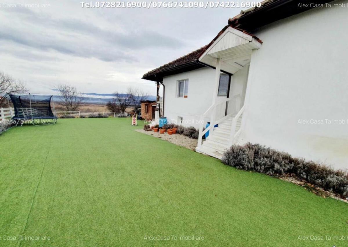 Inchiriere casa cocheta, situata in Tetila (Curti?oara Go - 11