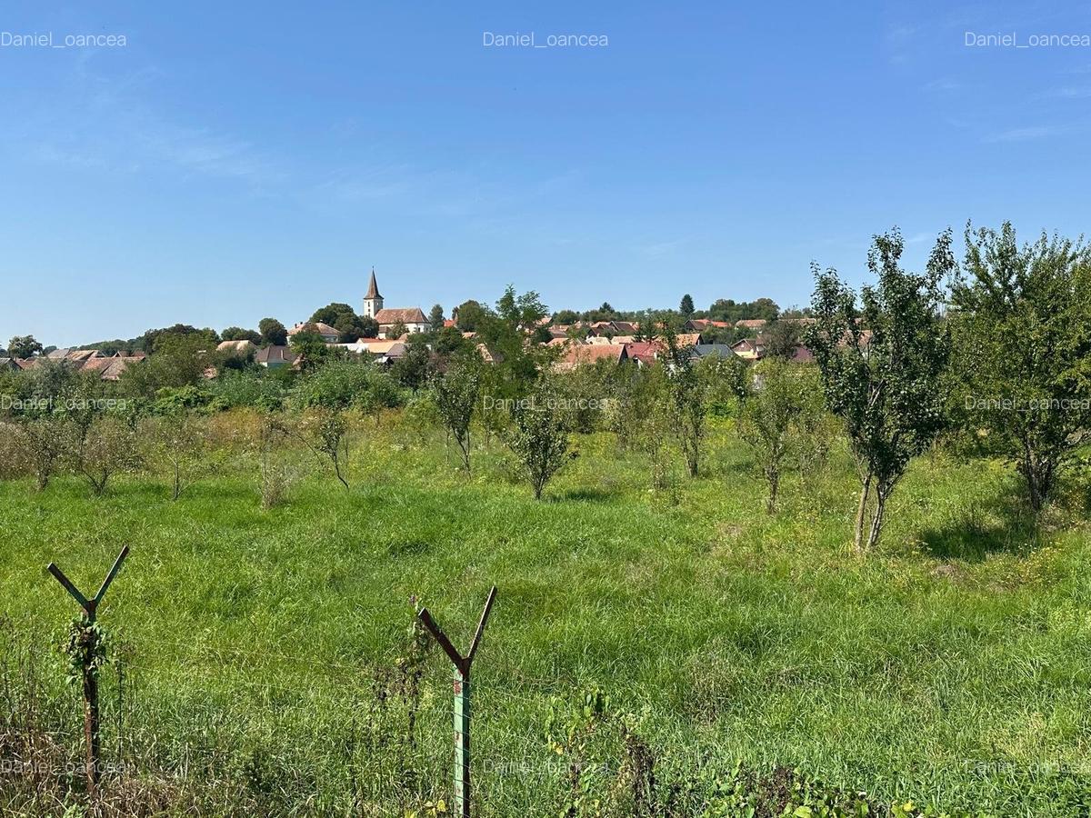 Vand casa singur in curte - P+M - teren 3000 mp - Marpod - 2