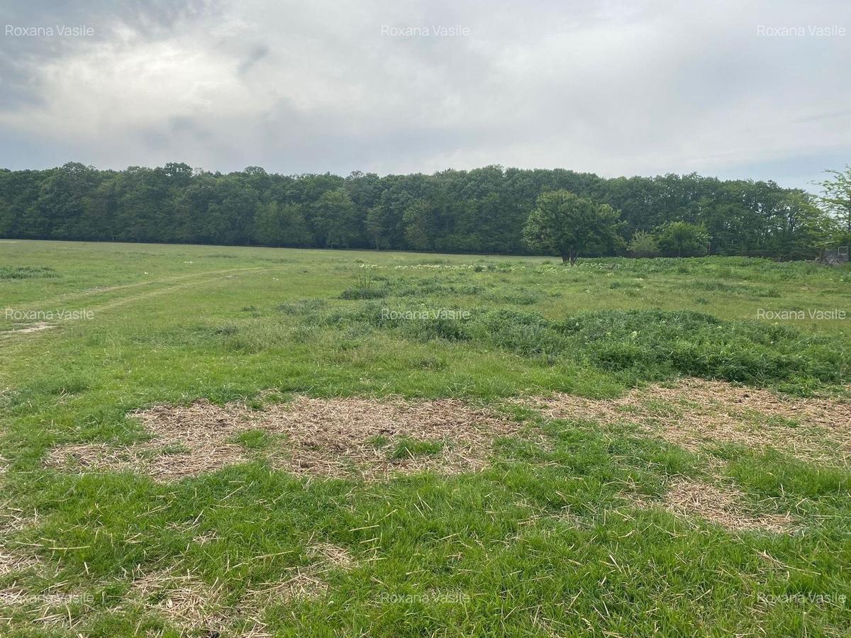 Vanzare Loturi  teren intravilan  Pipera - 4