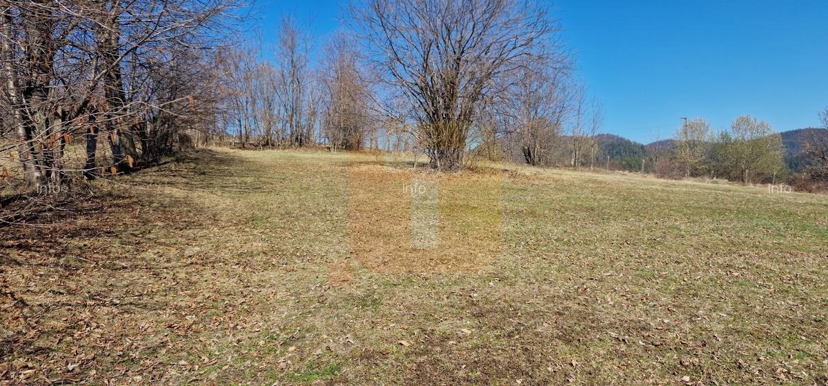 Teren intravilan de 4.000 mp în Bistrița – Alexandru cel Bun - 8