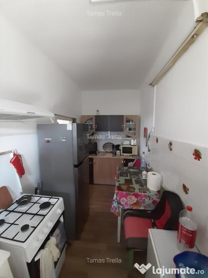 Vand casa particulara pe Gh.Doja, 2 camere, 234 mp teren - 4