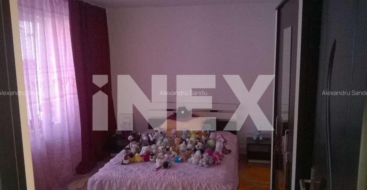 Casa spa?ioasa in Valea Marului, cu anexa locuibila ? - 8