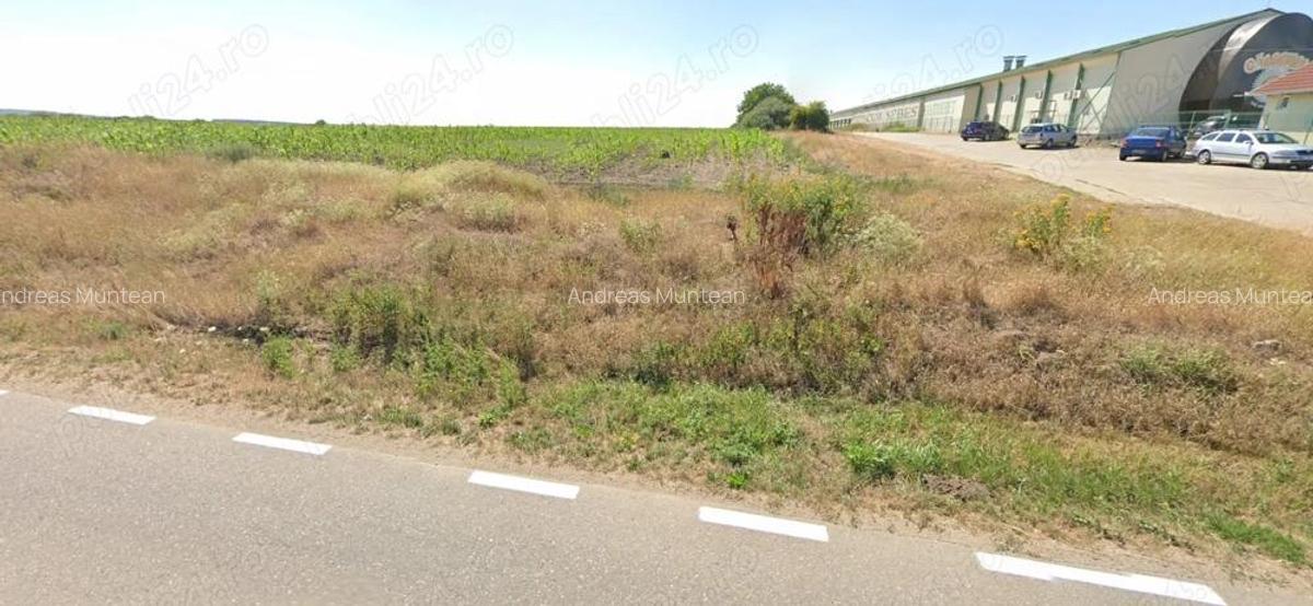 Teren Intravilan Pianu de Jos, DJ704A, Jud. Alba, 5,8ha PUZ industrial - 3