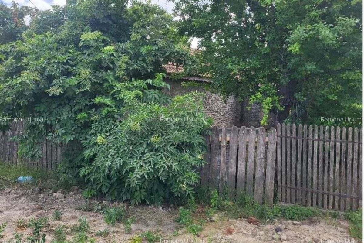 Casa si teren, loc Dragalina, Jud. Calarasi-03.03 - 3