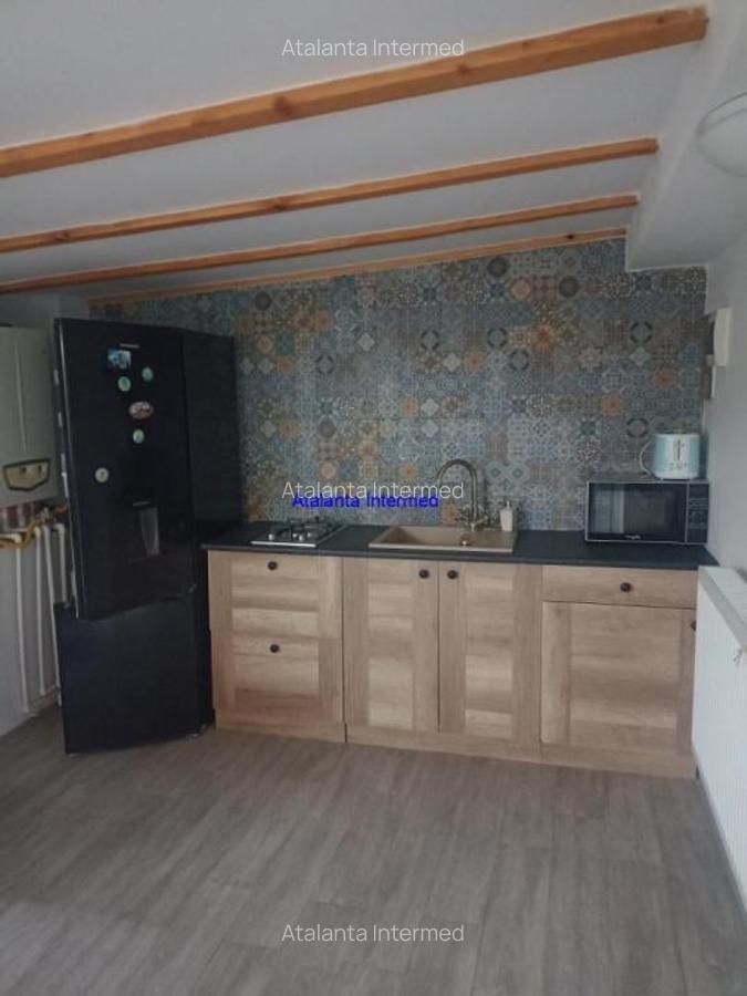 Vanzari Case / vile - 2