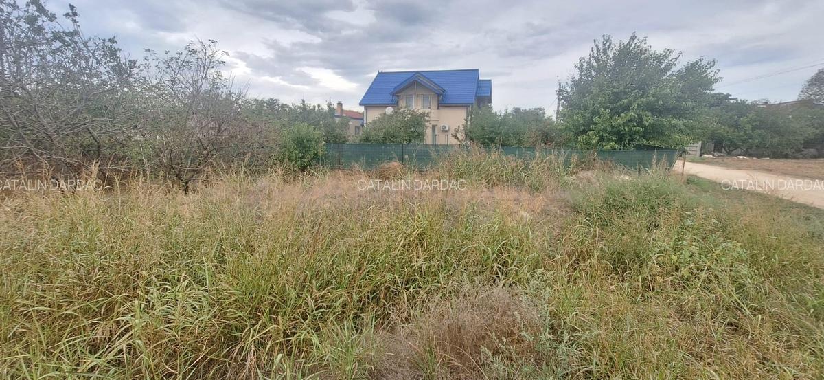 EXCLUSIV! CORBU TEREN LIBER 500 MP D=18 M INTRE CASE APROAPE DE MARE 25.000 EURO - 3 EXCLUSIV! CORBU TEREN LIBER 500 MP D=18 M INTRE CASE APROAPE DE MARE 25.000 EURO - 3