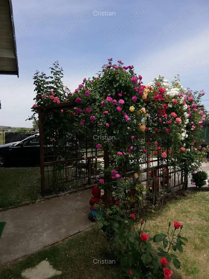 Urgent .Proprietar, parter la casa cu etaj, Mogosesti - Iasi, 10 km - 4