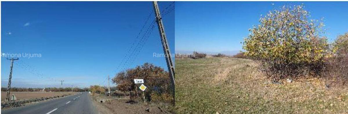 Teren extravilan- Com. Siria, jud. Arad - 3