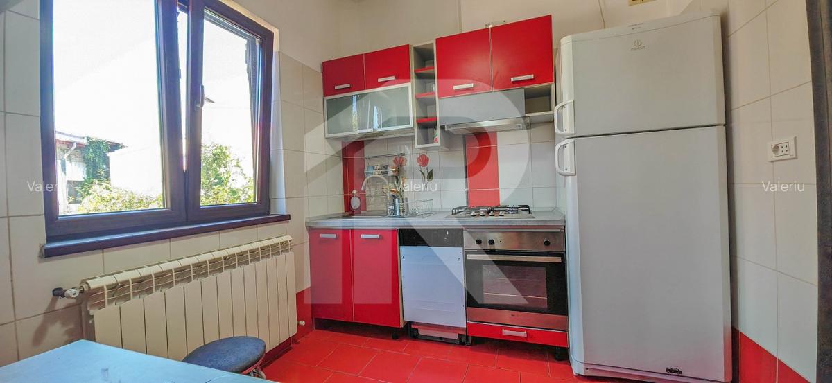 Zona Ferdinand apartament in vila - 7