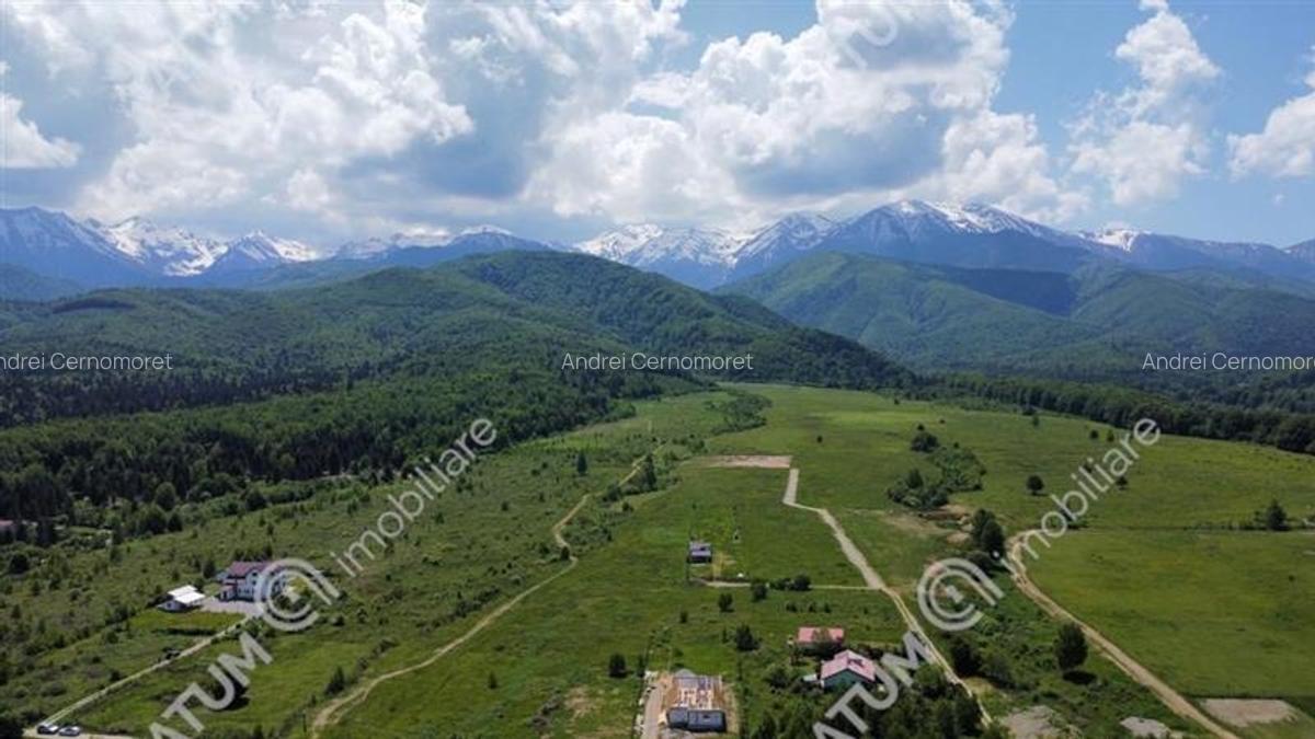 Teren Intravilan 1600 mp in Avrig zona Valea Avrigului - 4