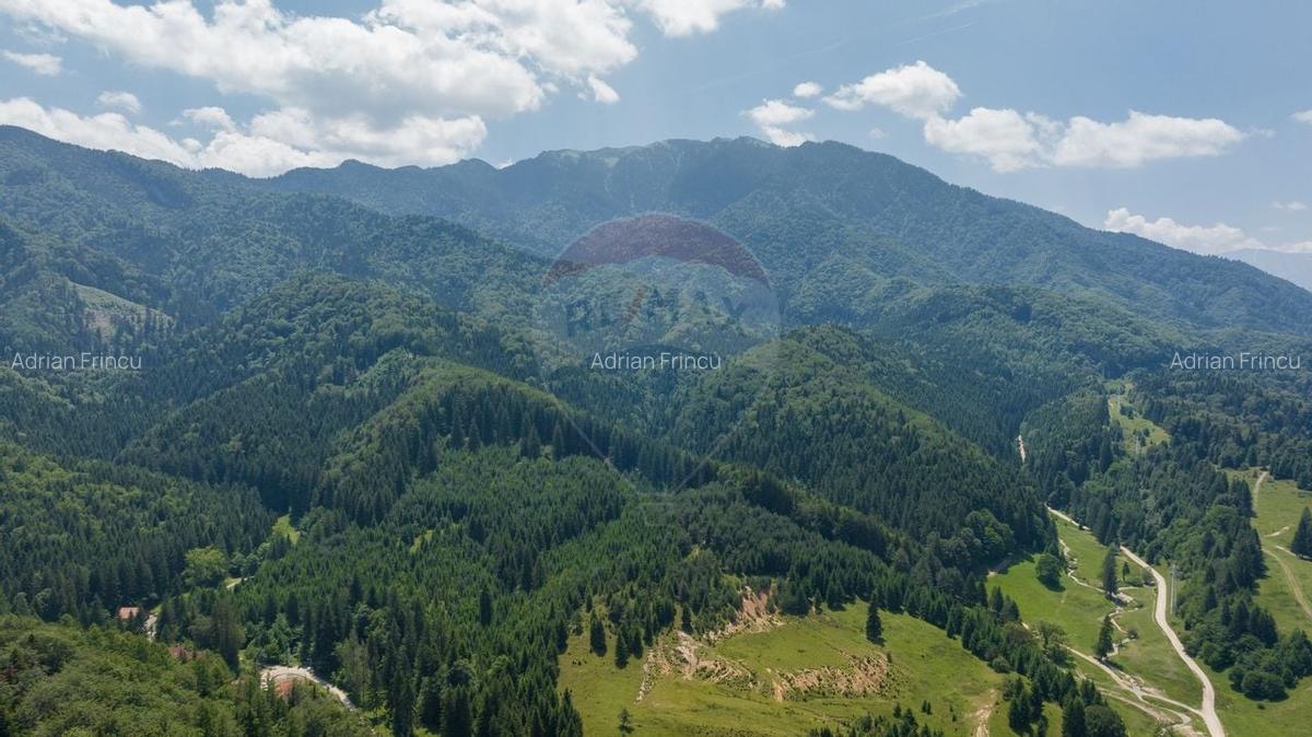 Teren intravilan, 6500 mp, Dambu Morii - 8