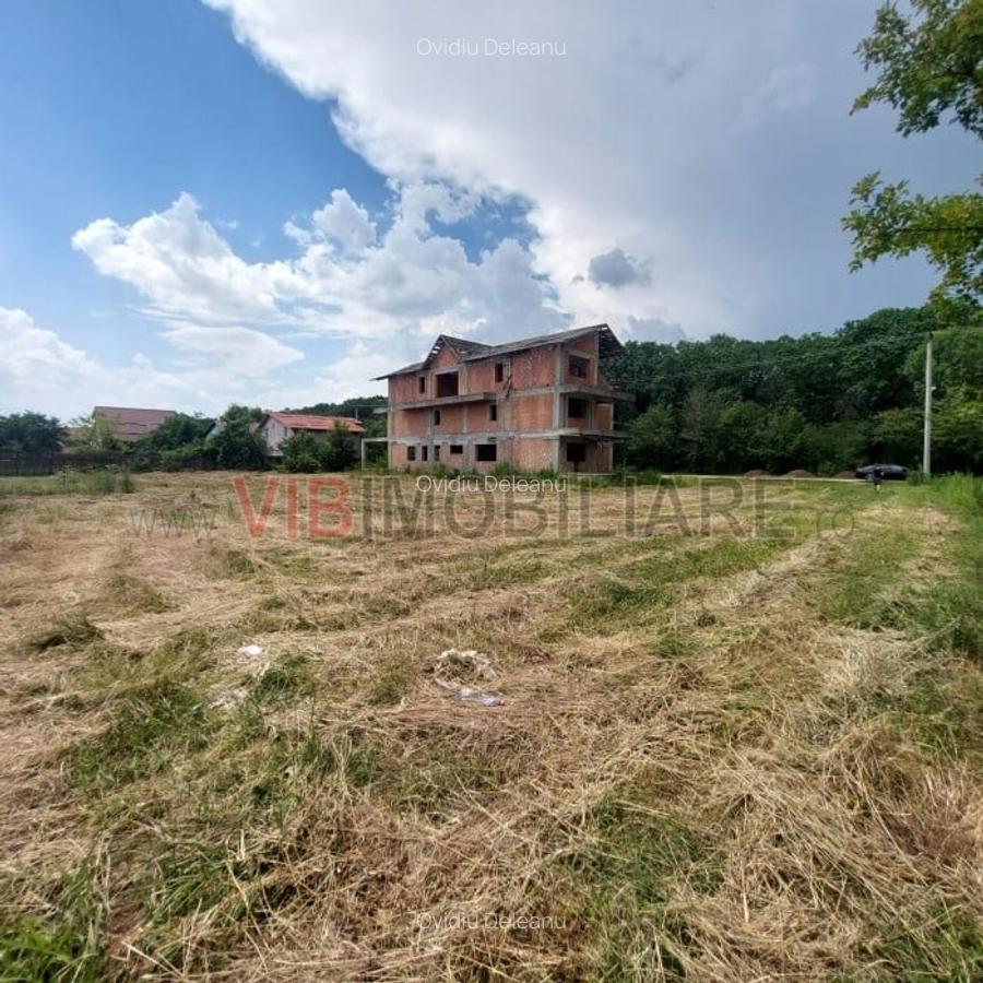 Balotesti - Str. Fieni - teren intravilan 1225 mp langa padure - 4 Balotesti - Str. Fieni - teren intravilan 1225 mp langa padure - 4