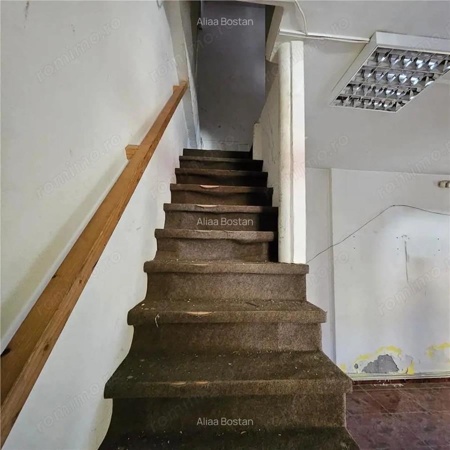 Doua case vecine, cu vad, in Bucure #537;ti, Tineretului, Parcul Carol - 10