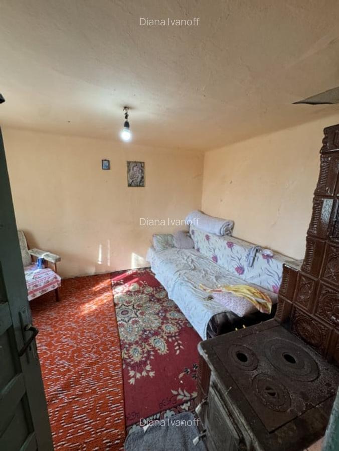 Casa din caramida cu teren 4185 mp in Comuna Manesti - 10
