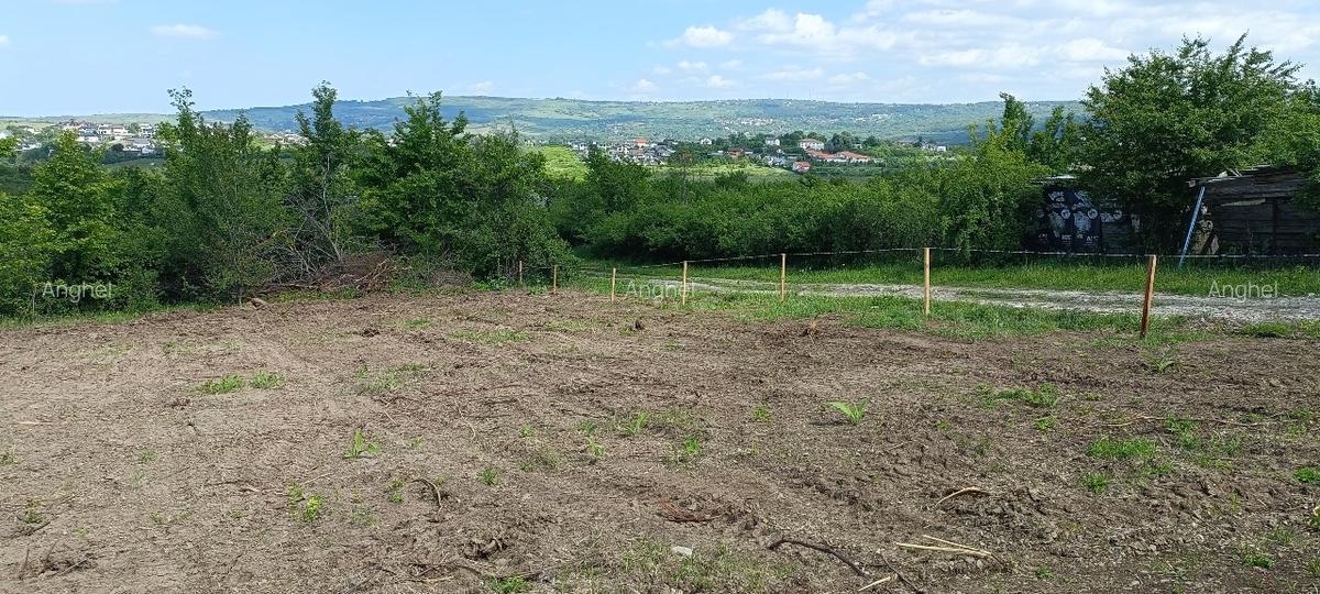 Teren de vânzare, 1079 m2(2parcele), Visan, jud.Iasi.Proprietar! - 5