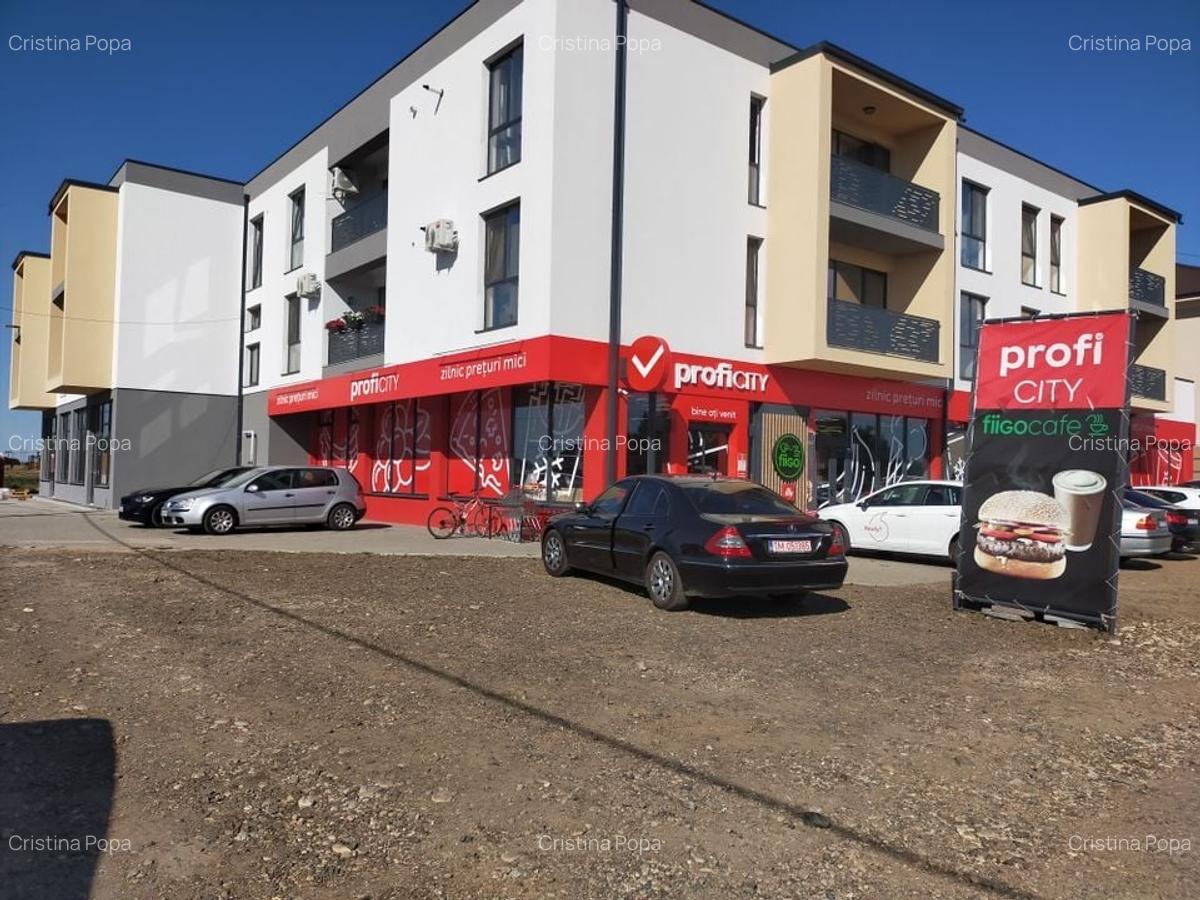 Spațiu comercial, 120 mp în Dumbrăvița - 2