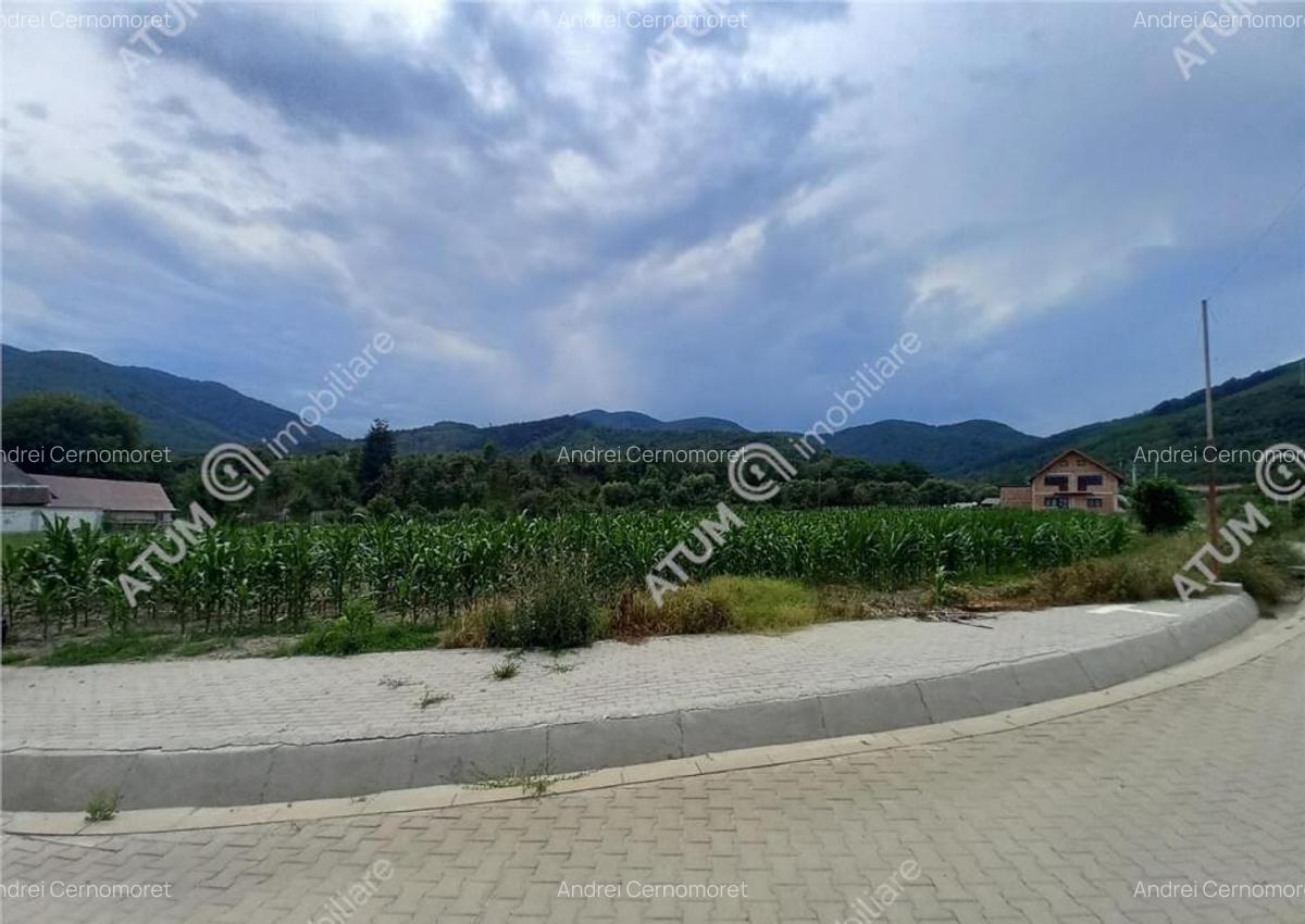 De 733 mp in Boita Sibiu - 2