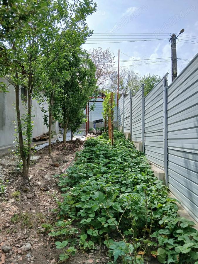 Casa de vanzare Nadastia de jos - 10