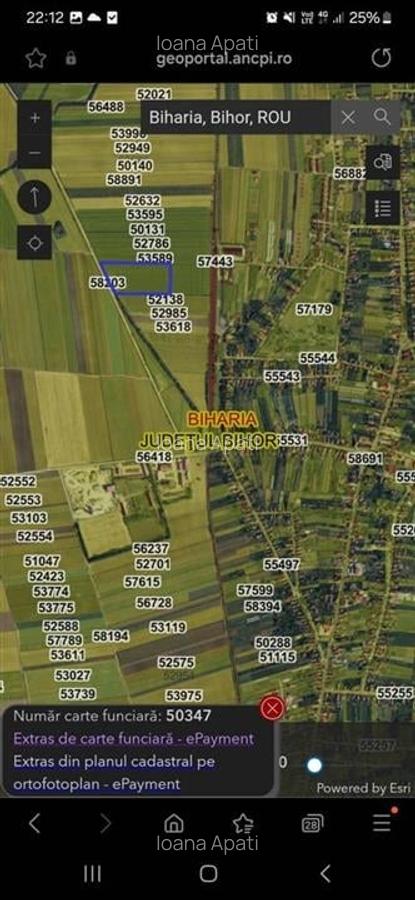 Teren Construcții intravilan de 10000 mp, în Biharia - 2