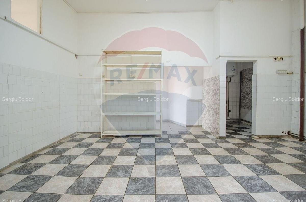 Spațiu comercial, 162 mp în Mehala - 11