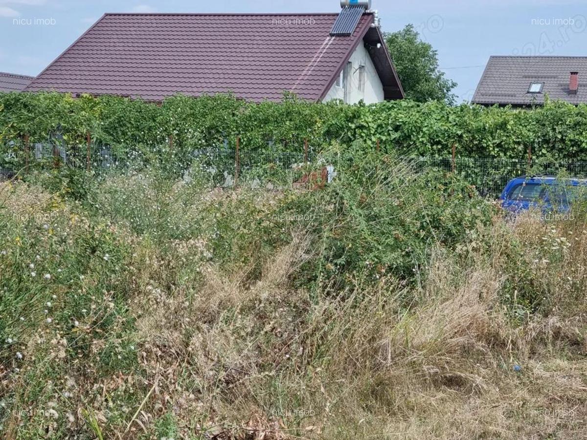 Vanzare Teren Rezidential 3500MP 1 Decembrie Ilfov - 11