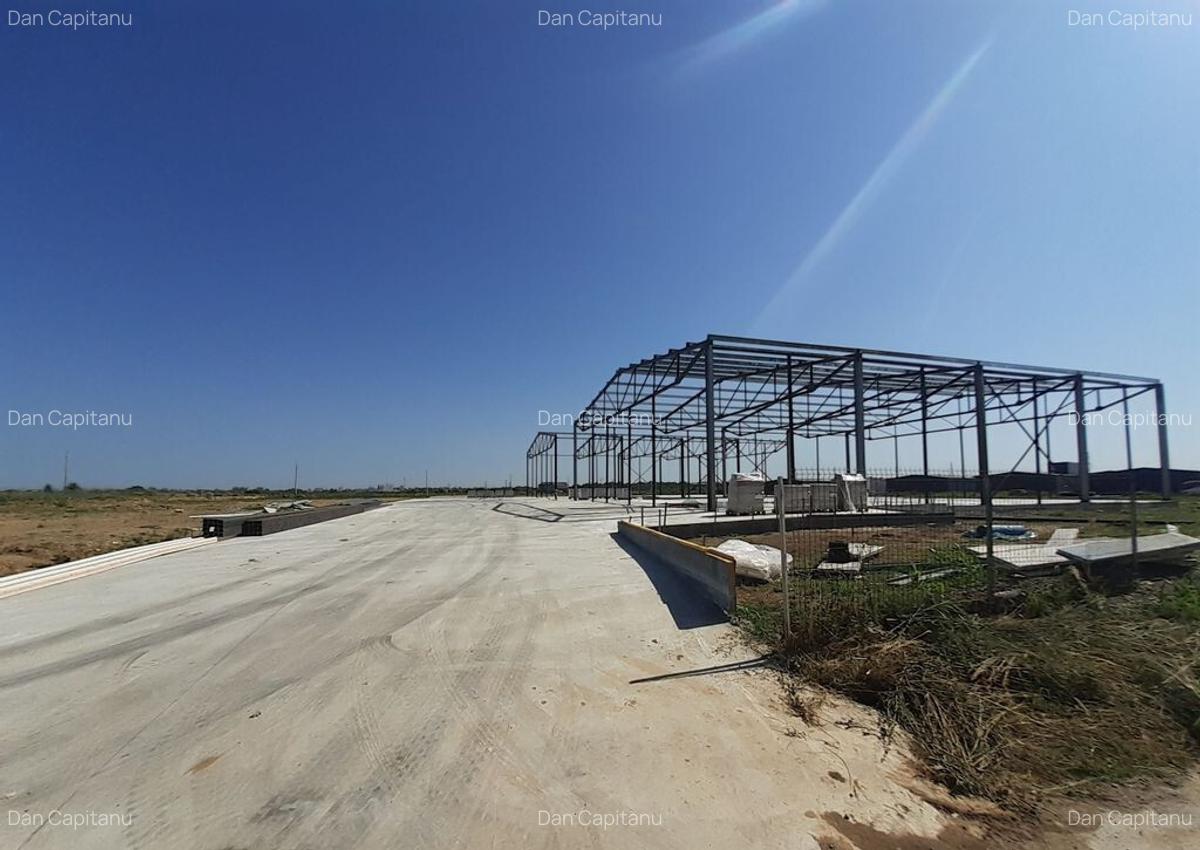 Hale noi in zona Gara Catelu, Drumul Intre Tarlale - 3