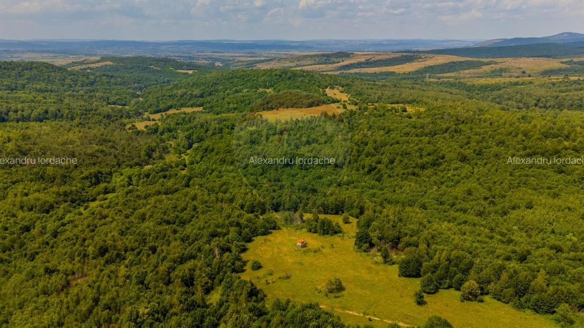Teren intravilan de 1551 mp, în Grid - 15