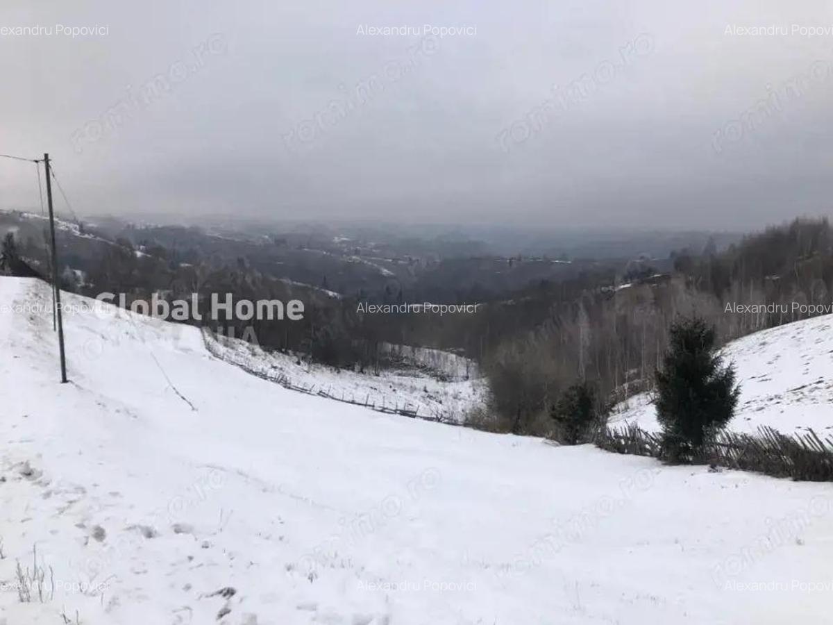 Teren 725 MP | Moieciu de Jos | Piatra Craiului | Oportunitate de investitie | - 4