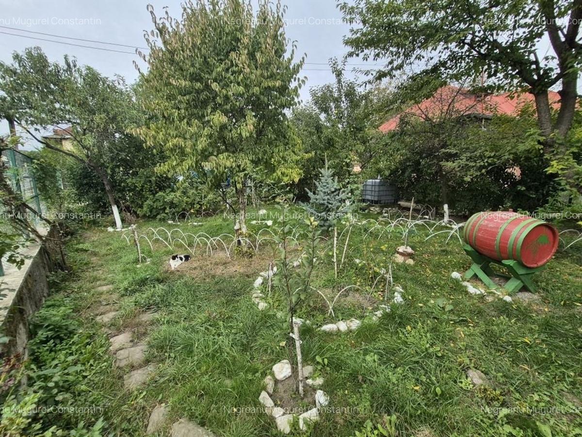 Vila 4 camere + teren 818 mp central Provita de Sus (lângă școală) - 54