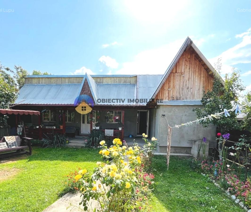 CASA + HALĂ  comuna ALEXANDRU cel BUN - 5