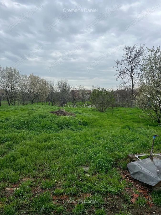 Vand casa cu teren mare 1454 metri - 3