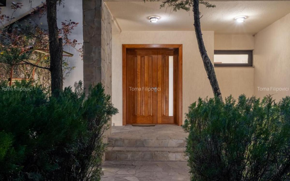 IANCU NICOLAE COMPLEX TRAIAN, VILA 350 MP, LOT 750 MP! - 4