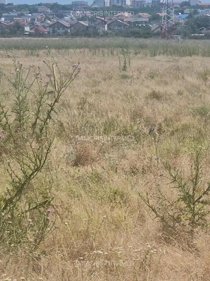 Techirghiol - Teren intravilan - 3