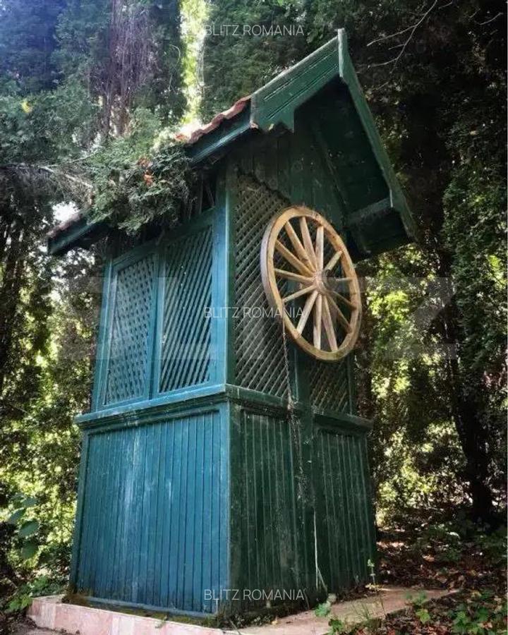 Casa de Vacan?a pe Valea Ighielului 3 camere, 2500 mp curte - 8