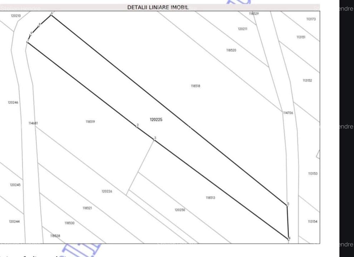 Teren Construcții intravilan de 3893 mp, în Borod - 8