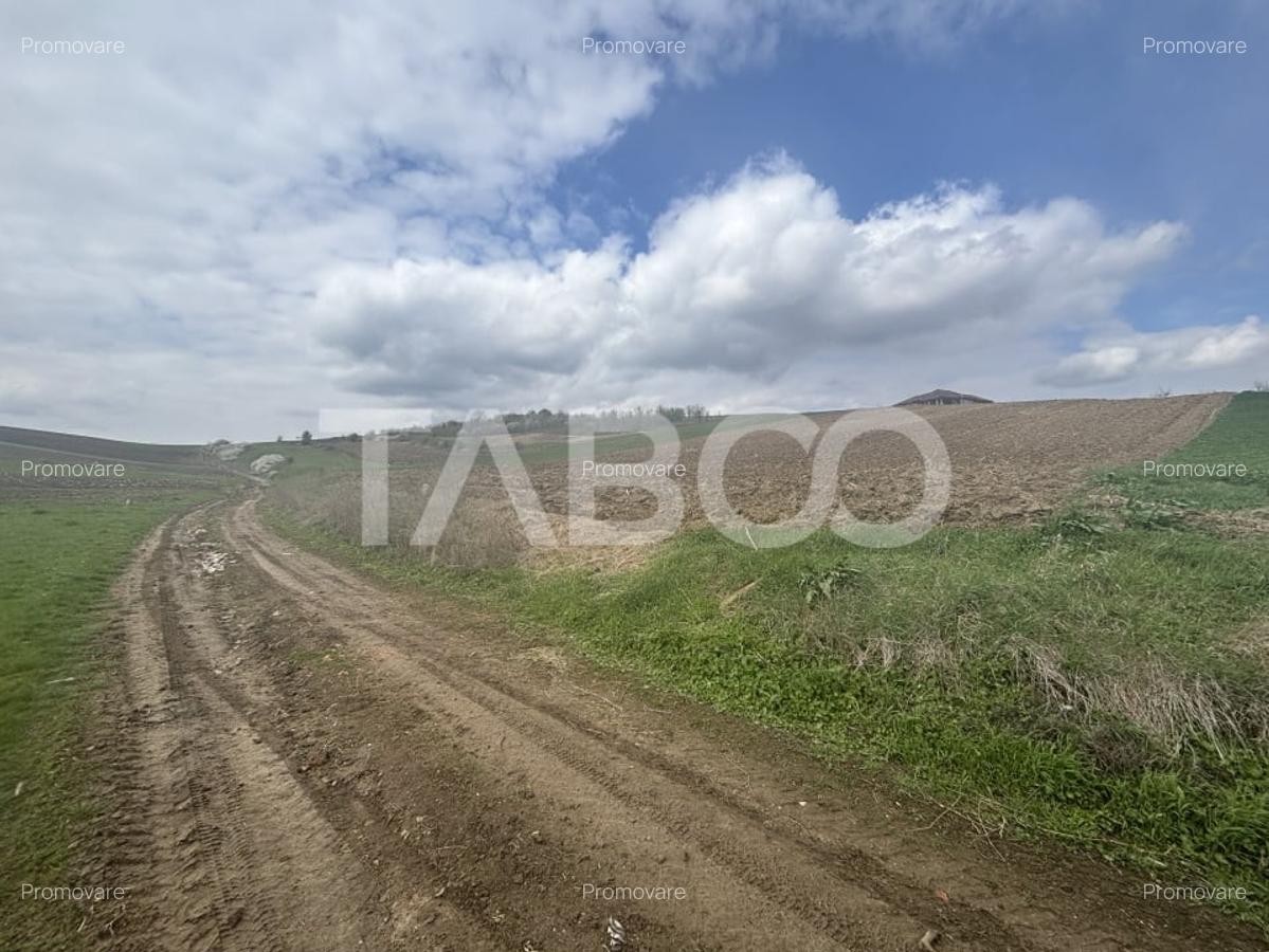Teren intravilan de vanzare 4600mp deschidere 37m in Sura Mare Sibiu - 3