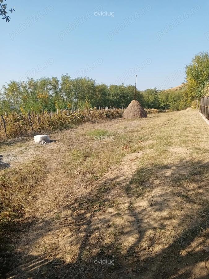 Vand casa la tara in Vladimir - 10