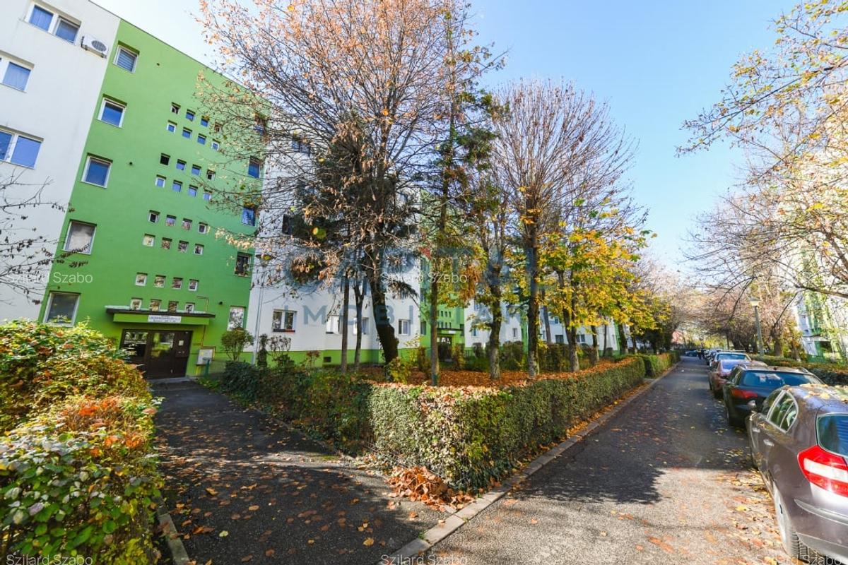 Apartament cu 2 camere de vanzare in Gheorgheni - 2