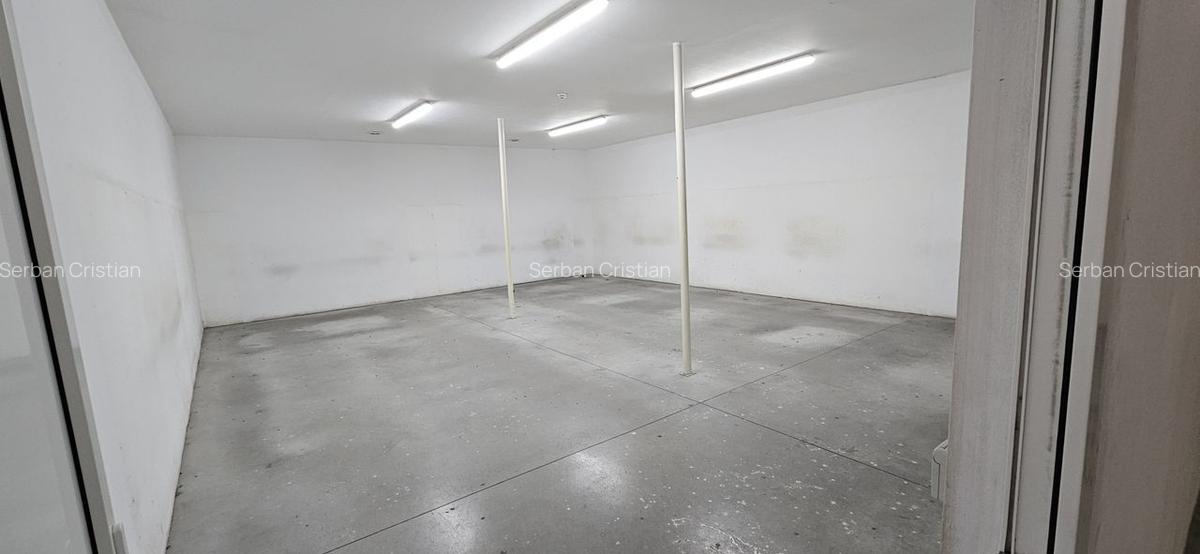 Pantelimon hala productie depozitare - 16